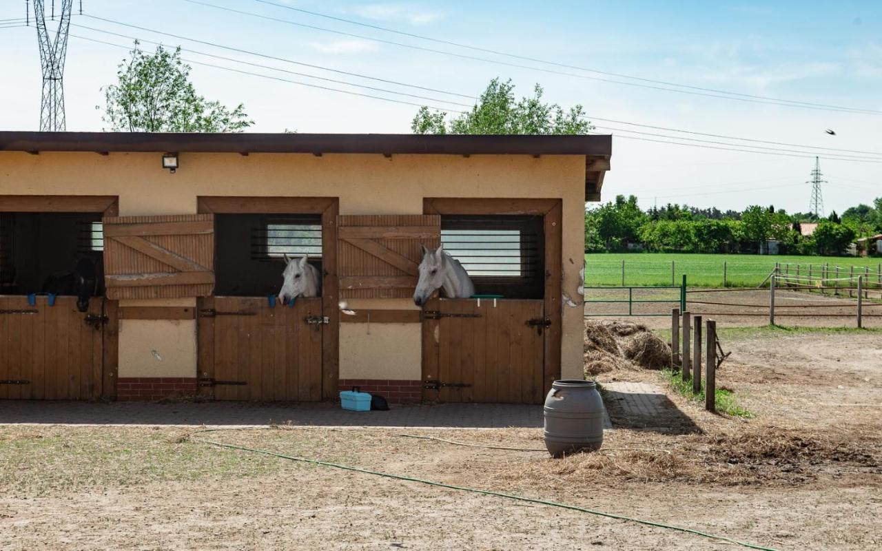 Podkowa Police Exterior foto